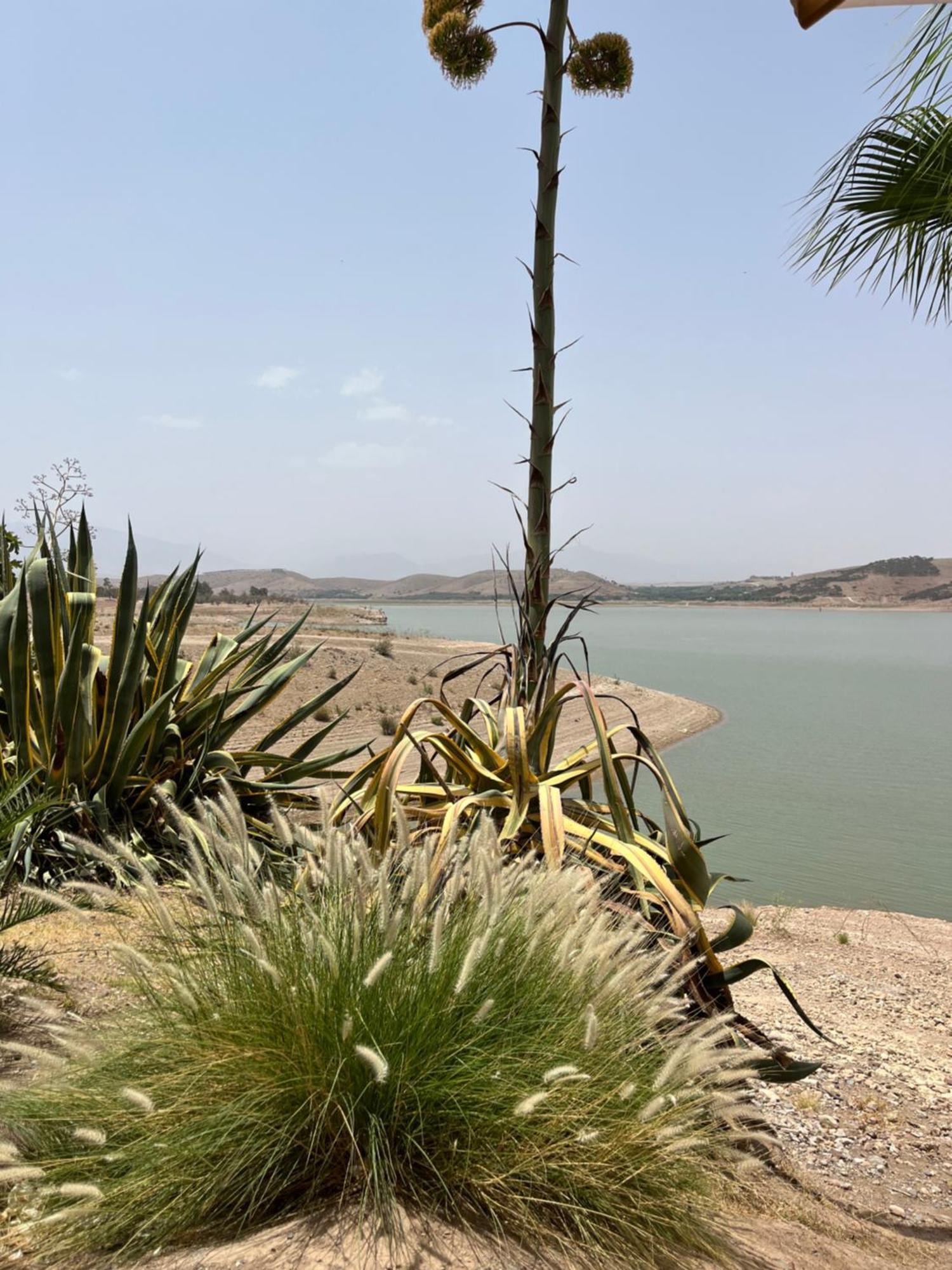 Le Patio Du Lac Lalla Takerkoust Εξωτερικό φωτογραφία